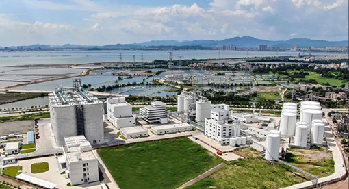 道道全攜手邁安德，2000噸菜籽智慧工廠72小時達產(chǎn)達標