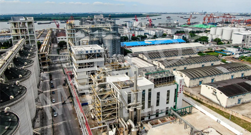 邁安德承建江海糧油集團(tuán)二期項(xiàng)目投產(chǎn)